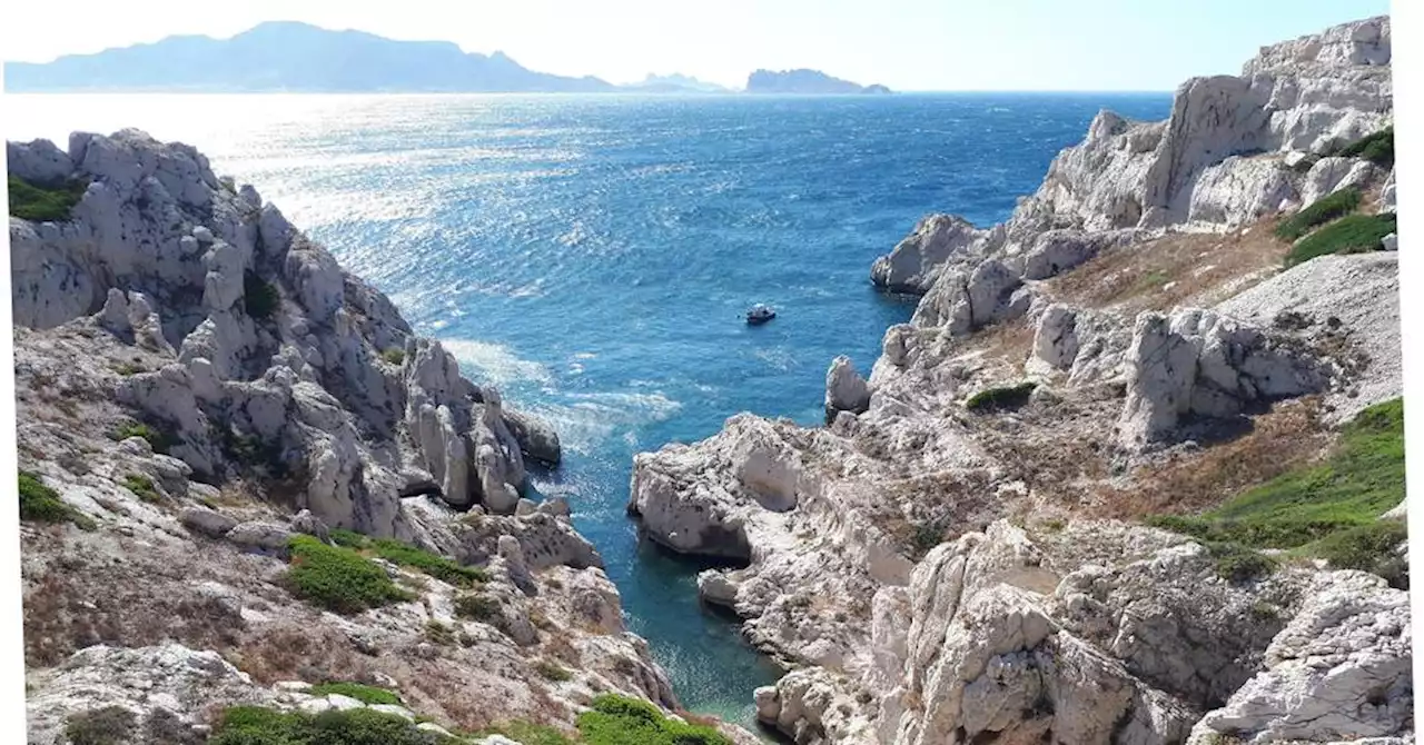 Balade dans l'archipel du Frioul, à une vingtaine de minutes du Vieux-Port de Marseille