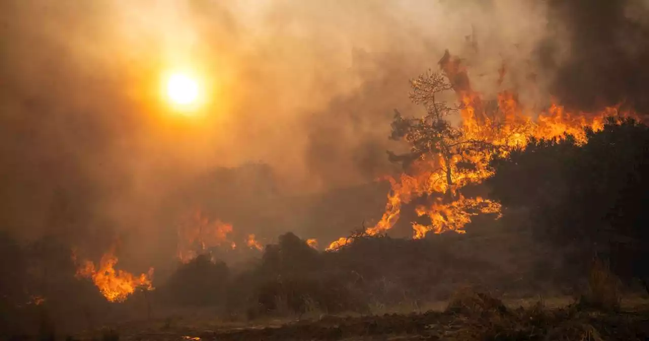 En Grèce, des incendies ravagent le nord du pays pour le troisième jour consécutif