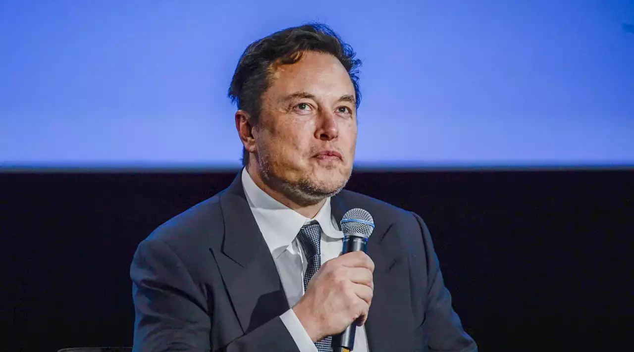 Social media, Elon Musk lancia l'allarme: 'X potrebbe fallire'