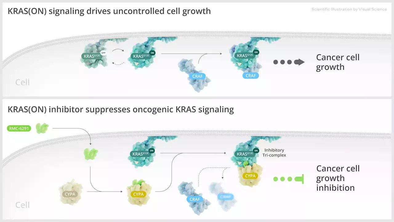 A KRAS solution method overcomes the undruggable obstacle