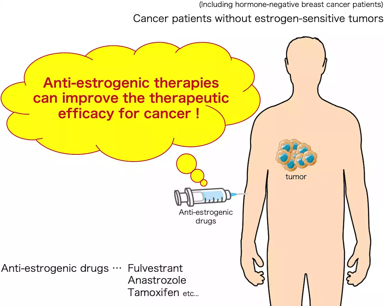 Estrogen-negative cancers respond to anti-estrogenic therapies, study shows