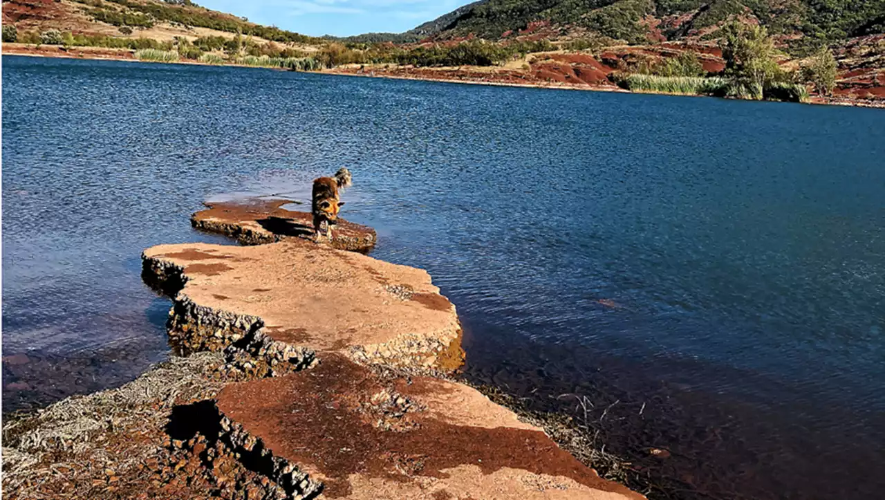 'A-t-on jamais vu le lac aussi bas ?' : le niveau du Salagou, à l'est de Montpellier, interroge