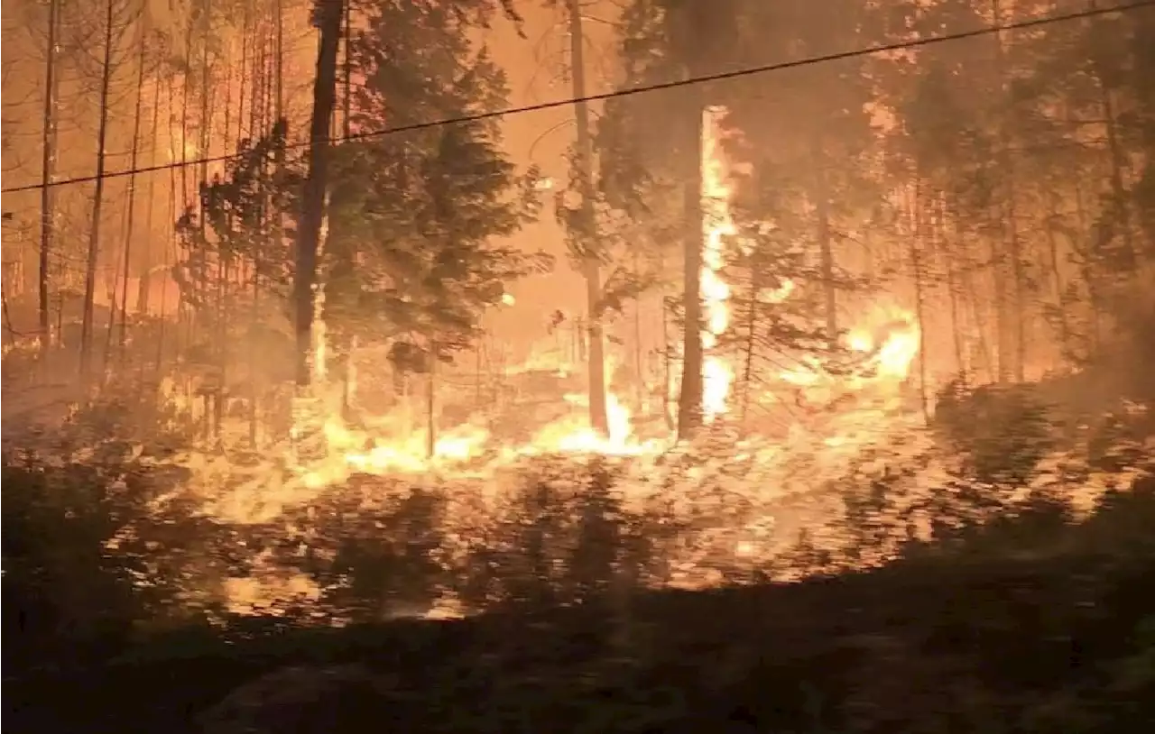 Desalojan a miles en Canadá ante el avance de dos incendios combinados