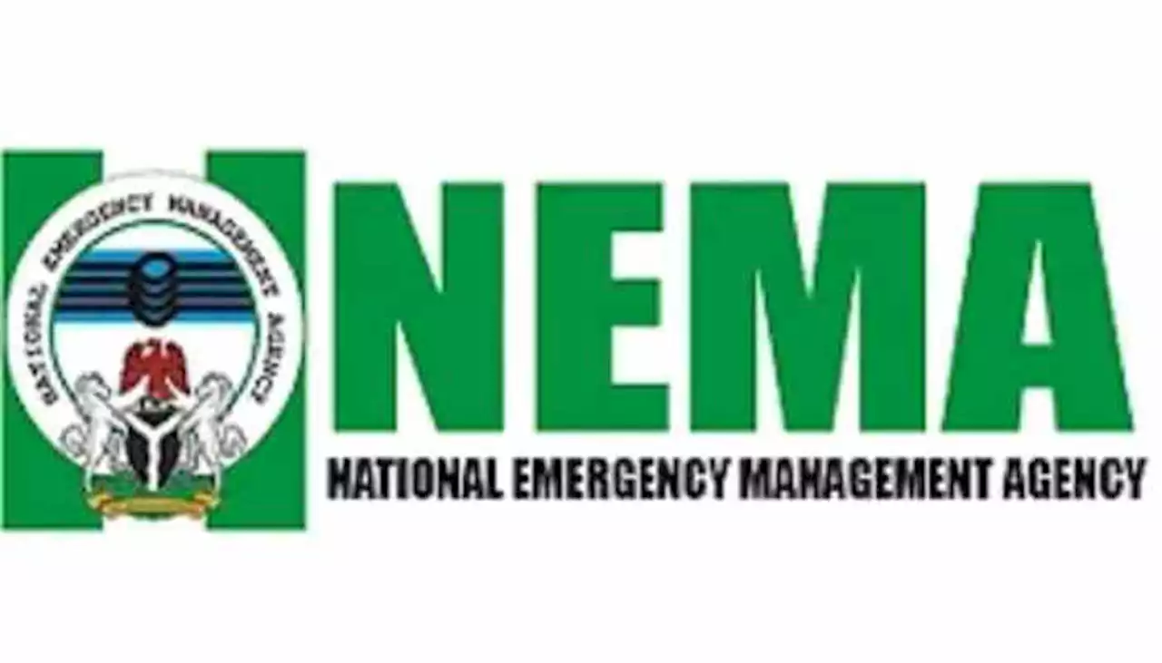 Palliative: NEMA to begin rice distribution to states