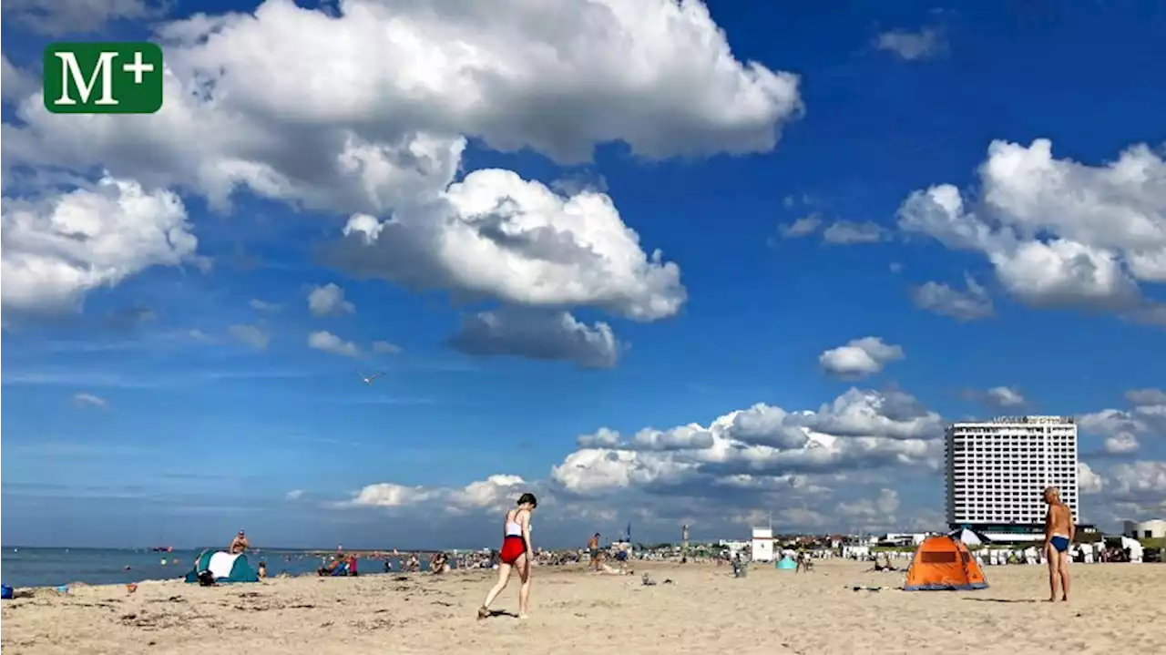 Ausflug von Berlin nach Warnemünde: Möwen, Fisch und Strandkorb