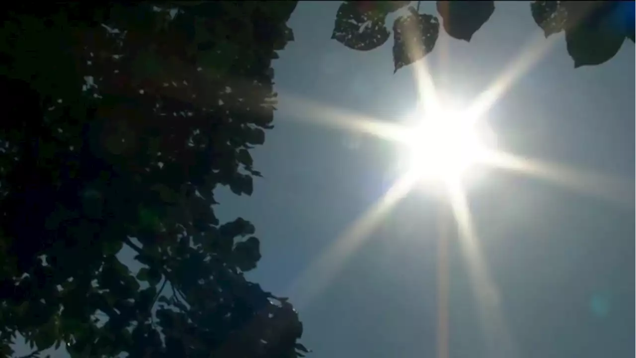 Take extra precautions to prevent heat-related illnesses and deaths