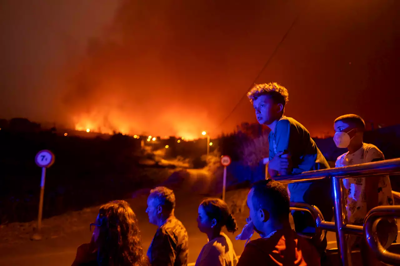 Wildfire on Spain's tourist island of Tenerife was started deliberately, official says