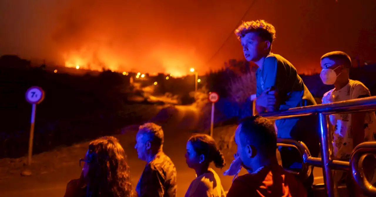 Wildfire on Tenerife was started deliberately, official says