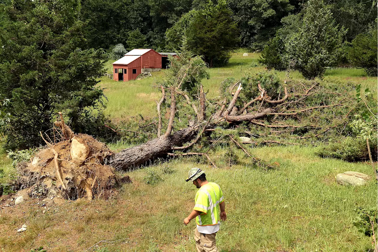 How powerful were last week's tornadoes? Here's a closer look at the damage