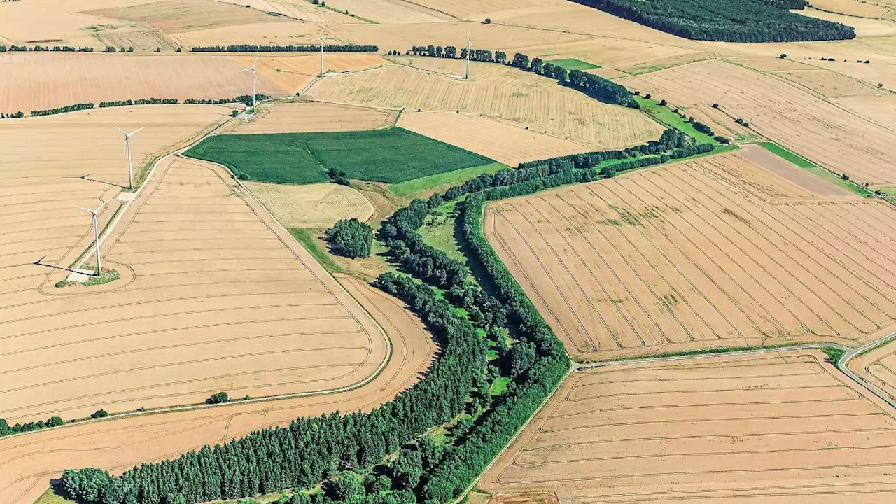 Naturmonument 'Grünes Band' wird feierlich eröffnet