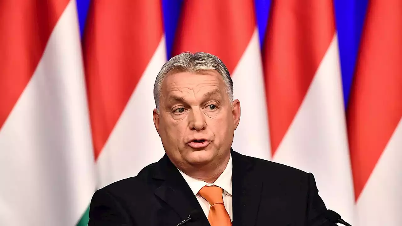 Orban vergrault seine Landsleute in der Ukraine