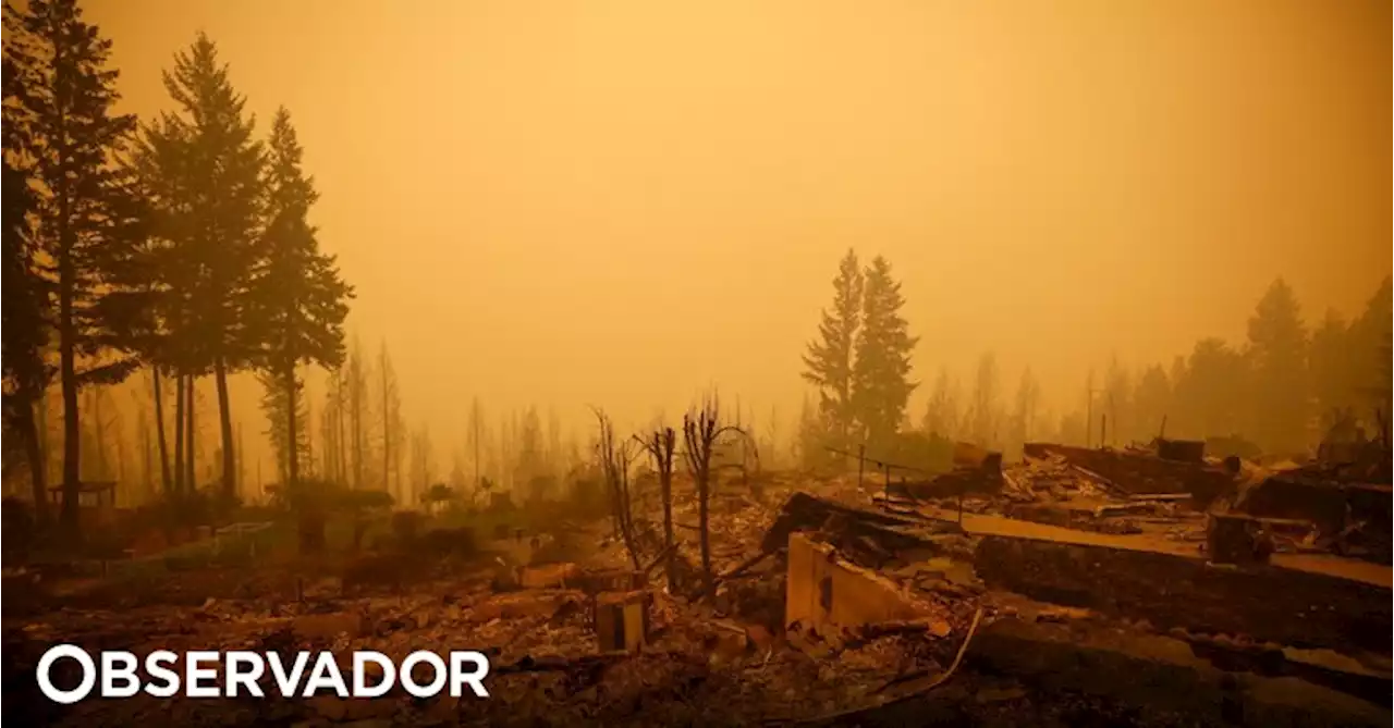 Incêndios florestais no oeste do Canadá continuam a propagar-se