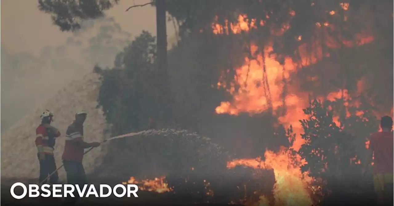 Mais de 40 concelhos de cinco distritos em perigo máximo de incêndio