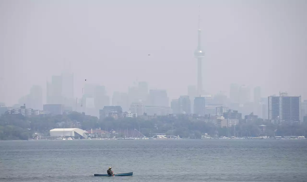 Pollutants in wildfire smoke linked to dementia: Study