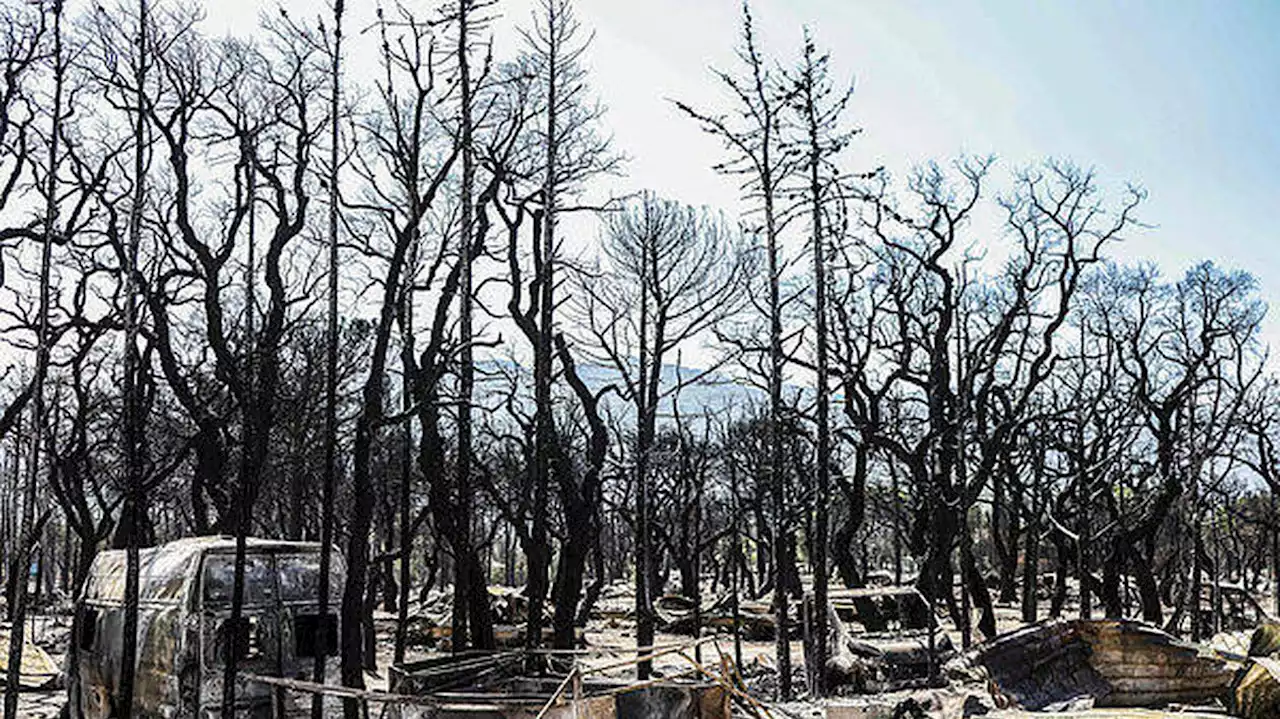 Incendie près d’Argelès-sur-Mer : les feux officiellement éteints