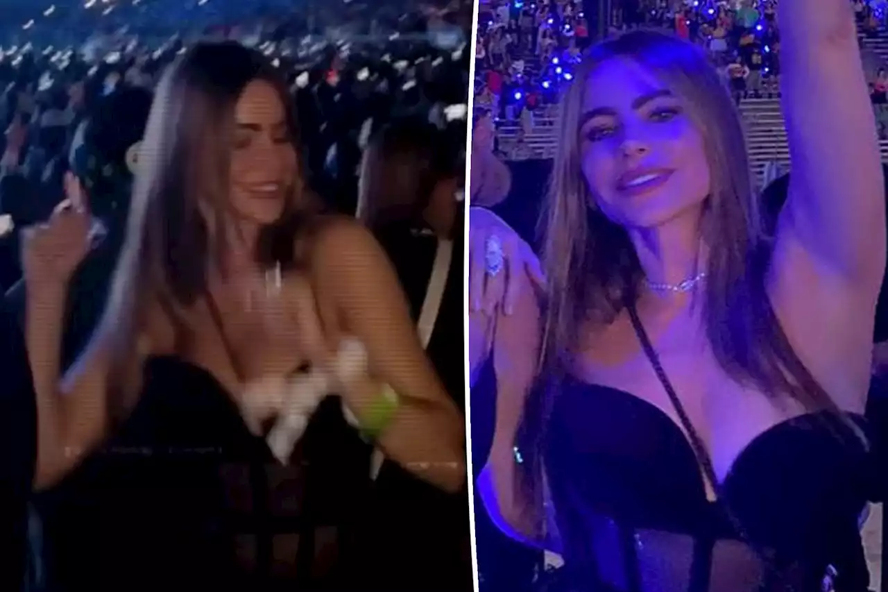 Newly single Sofía Vergara shakes her hips, lets loose at Karol G concert