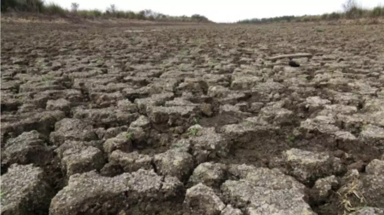 Argentina está entre los 25 países afectados por estrés hídrico