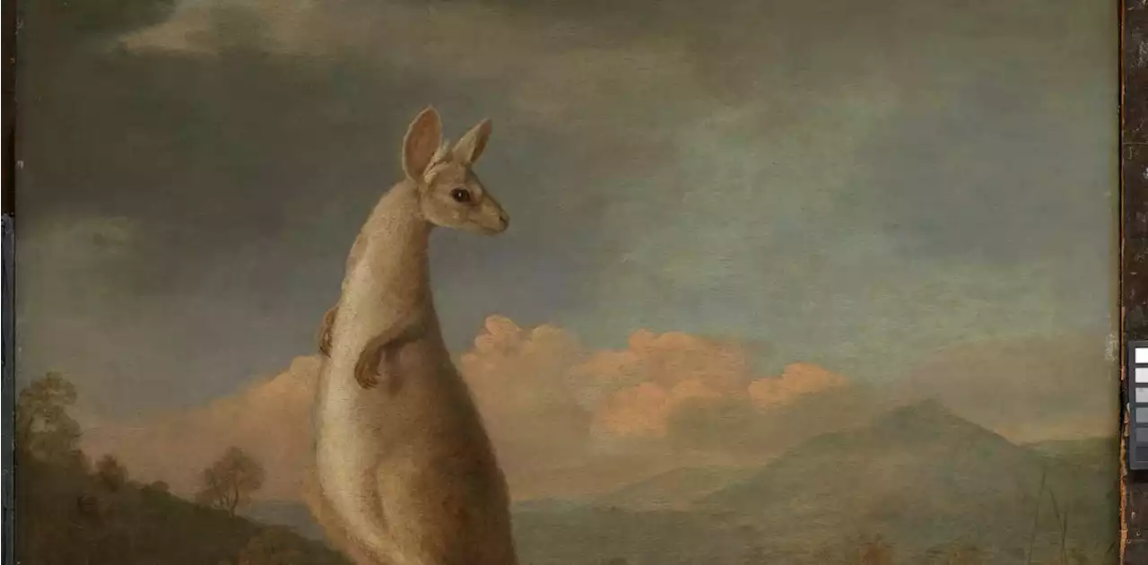 Painting the unfamiliar: Why the first European paintings of Australian animals look so alien to our eyes