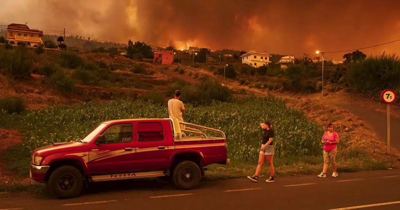 Kanarische Insel: Polizei geht bei Waldbrand auf Teneriffa von Brandstiftung aus