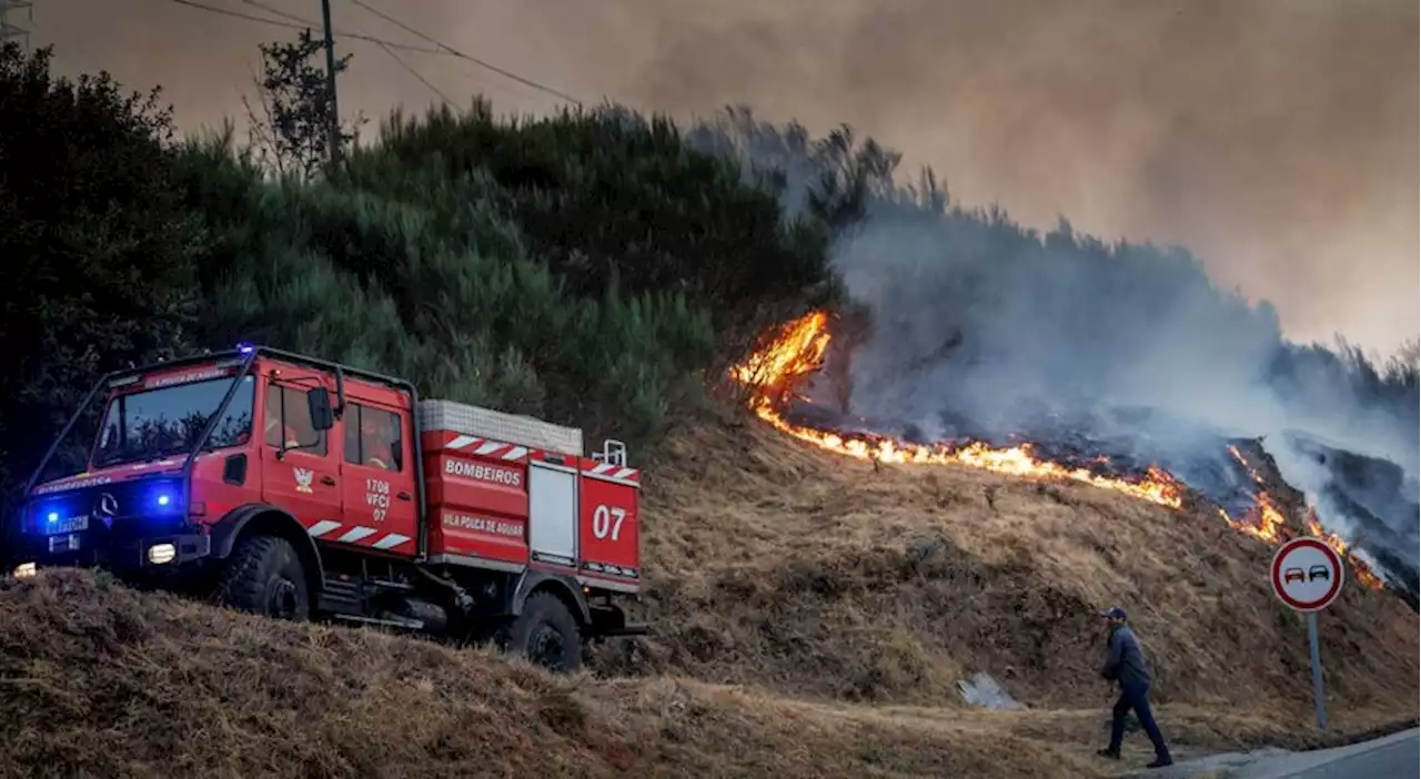 Mais de 40 concelhos de cinco distritos em perigo máximo de incêndio