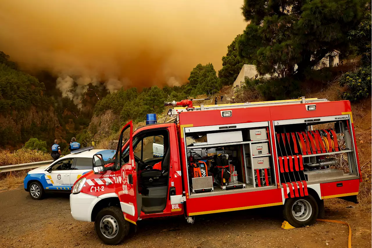 Firefighters close to stabilising Tenerife fire as evacuees start returning home