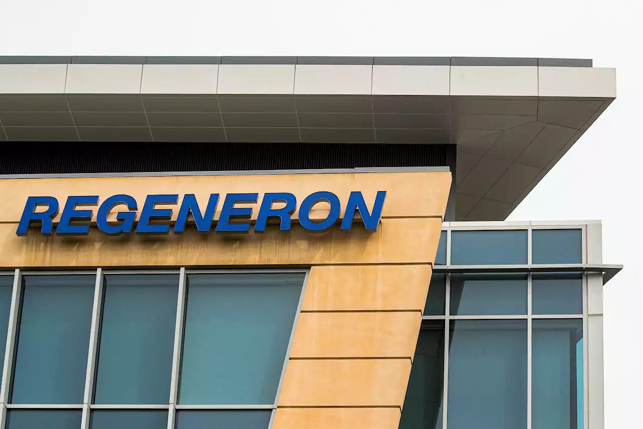 Regeneron's Eylea could return to growth after nod to high-dose version- analysts