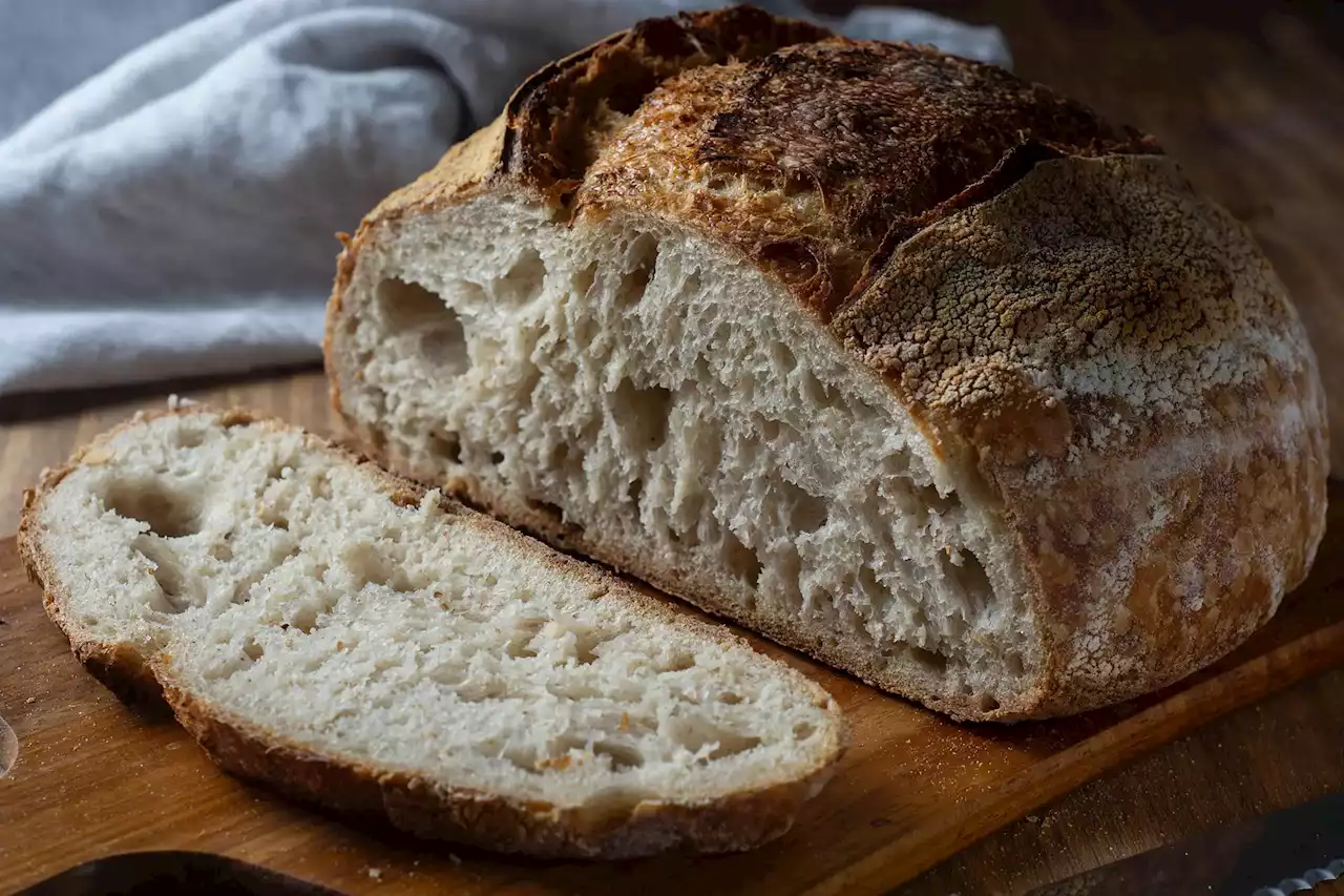 Science Reveals Sourdough Secrets: Unraveling the Tangy Mystery of Pandemic-Era’s Favorite Bread