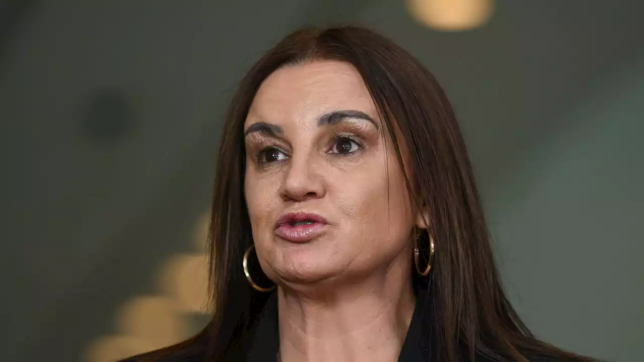 Radical super changes and new baby boom: Lambie urges reform to mitigate ageing population