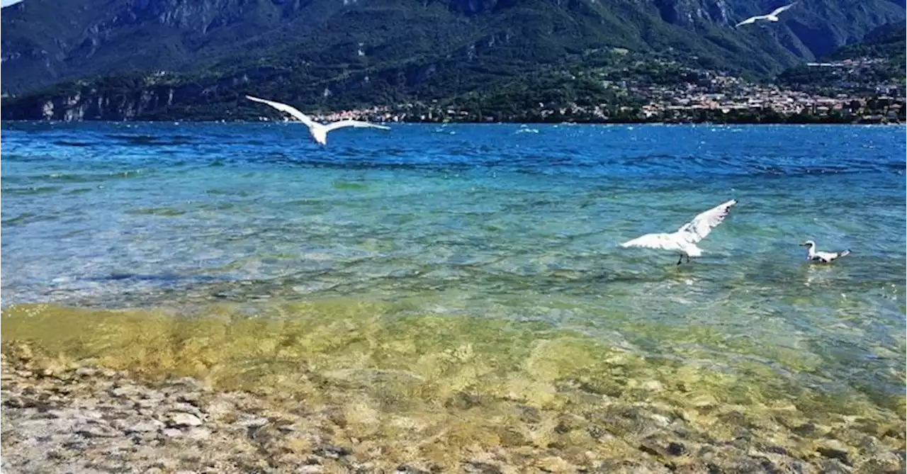 Lago di Como, tra spiagge balneabili e vette panoramiche