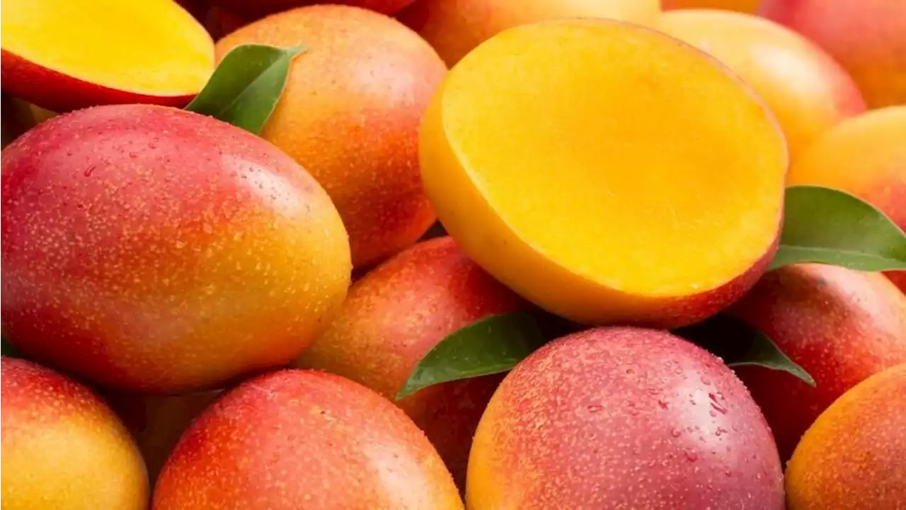 It's all about the politics as China targets Taiwanese mangoes in latest spat between both countries