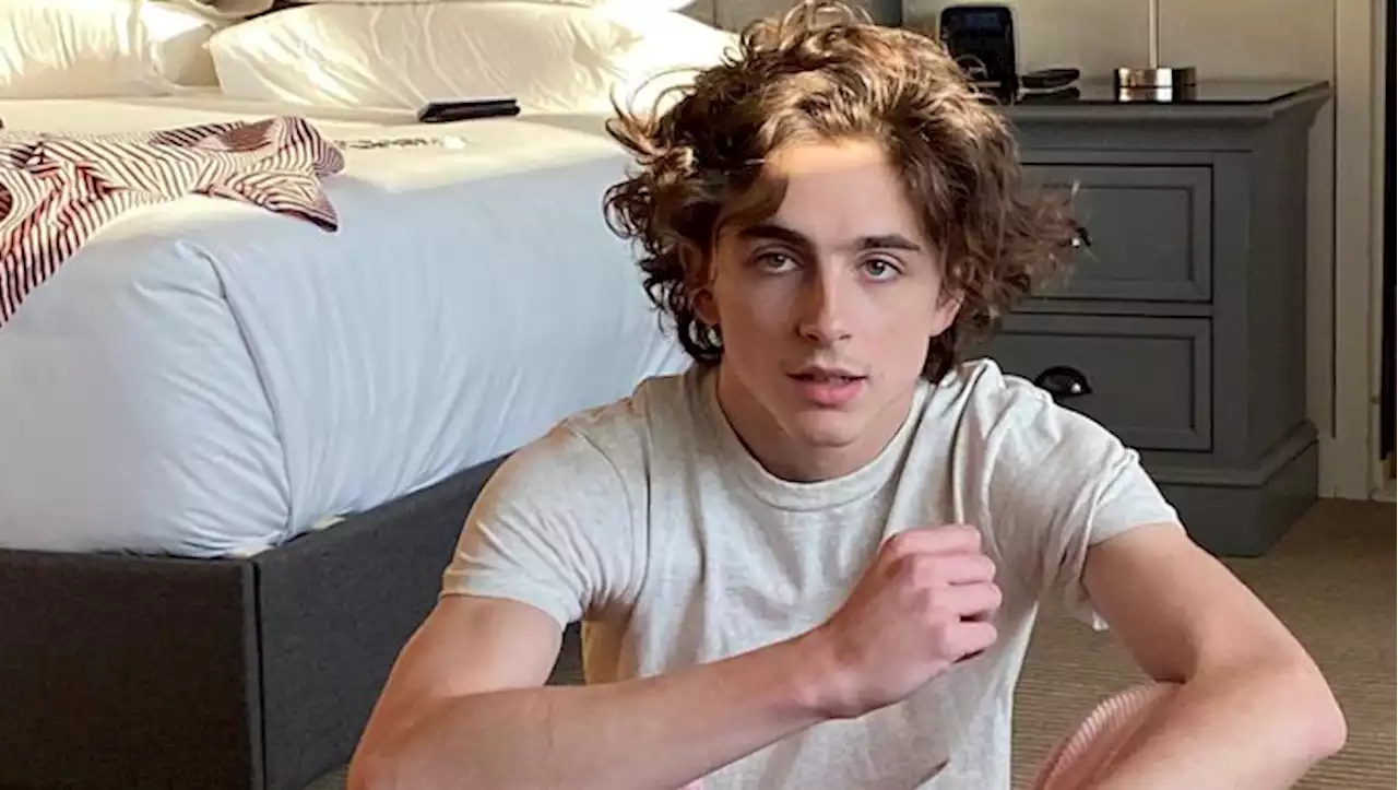 Timothée Chalamet And Saoirse Ronan Were Supposed To Be In Barbie