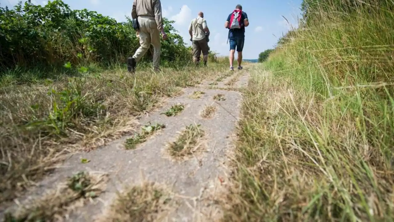 Naturmonument 'Grünes Band': Hessischer Teil eröffnet