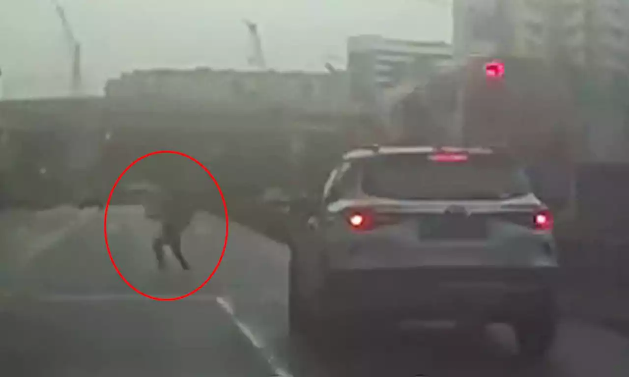 Pedestrian makes mad dash across road to avoid car that ran red light in Ang Mo Kio