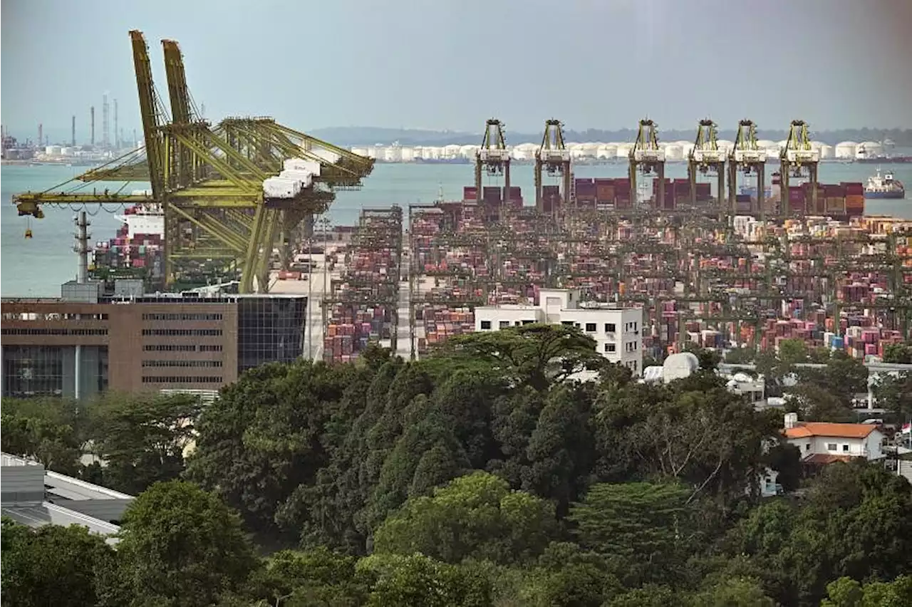 How will Singapore adapt as key pillars of growth are threatened?