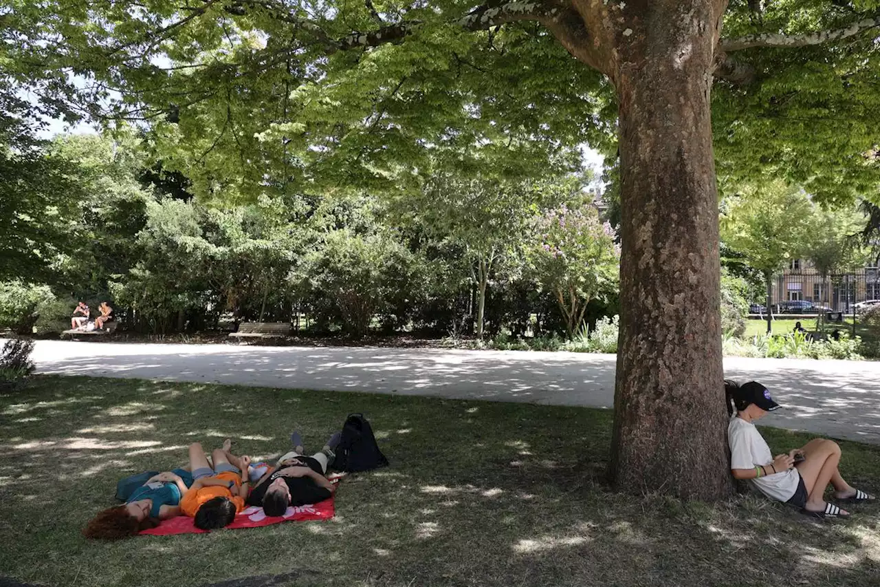 Canicule et vigilance orange en Gironde : les lieux de « fraîcheur » à Mérignac