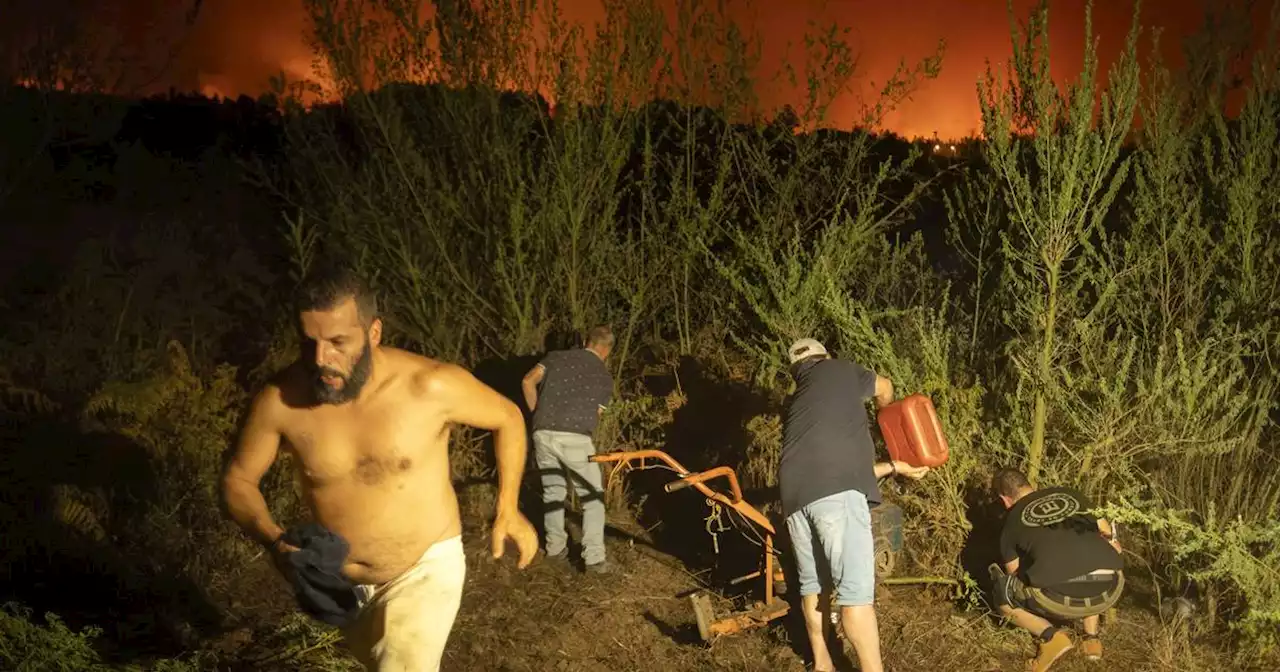 Sechs Prozent von ganz Teneriffa in Flammen: Waldbrände legen Urlaubsgebiete in Schutt und Asche (mit Fotostrecke)