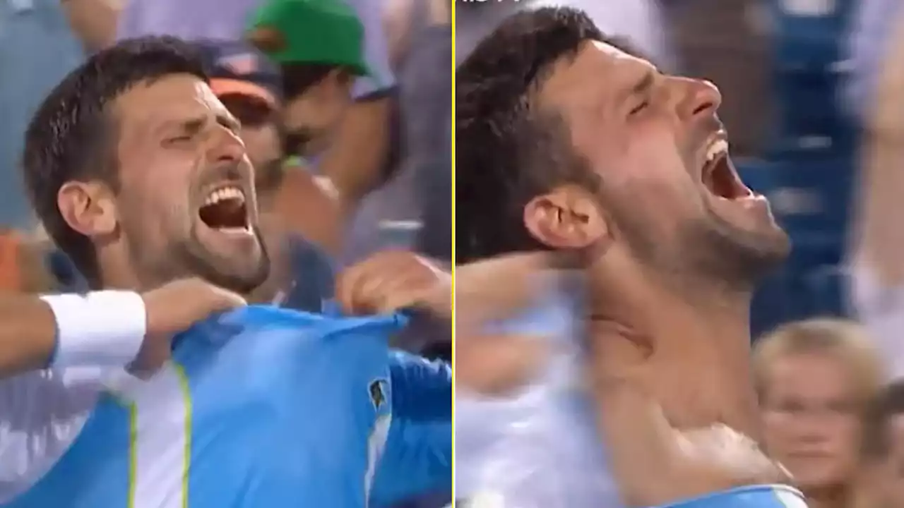 Novak Djokovic rips shirt open like The Hulk to celebrate epic win over Carlos Alcaraz