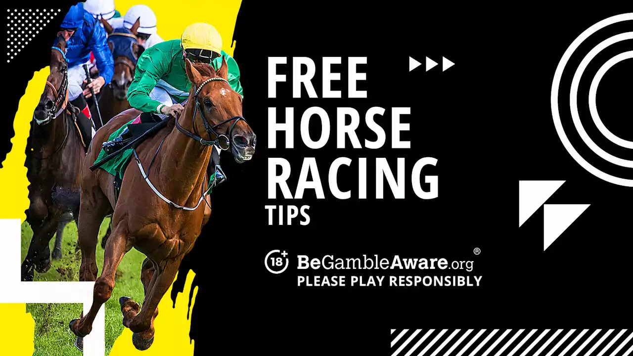 Tuesday August 22 horse racing betting tips: Picks for Newton Abbot and Worcester