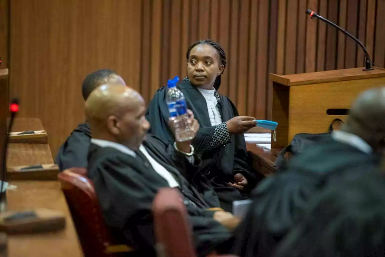 'Registers can't just grow feet and run away': 'Missing evidence' dominates Senzo Meyiwa trial