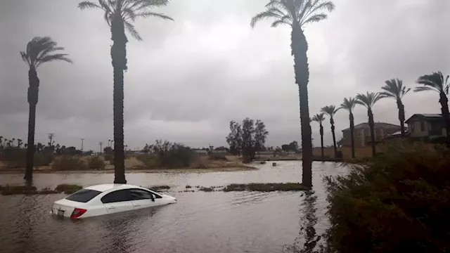 Dodger Stadium Did Not Flood, Viral Parking Lot Photo Debunked & Explained:  Photo 4962204, Los Angeles Dodgers, Sports Photos