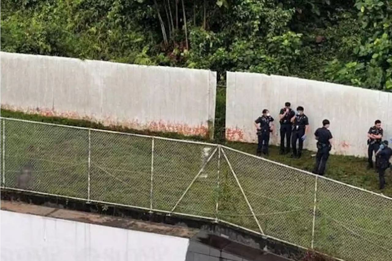 Badly decomposed body of man found outside Republic Polytechnic compound