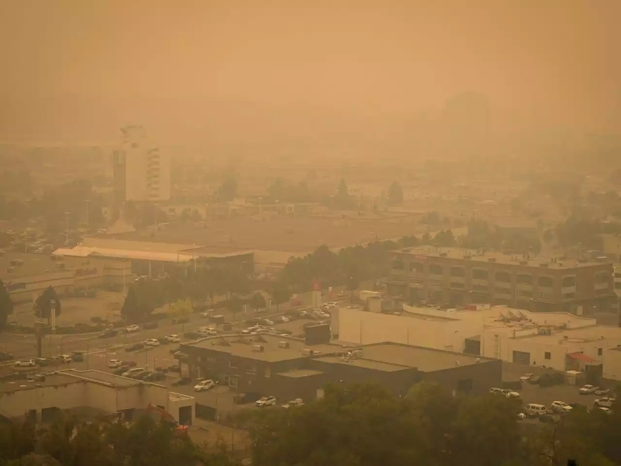 At least 50 buildings lost to wildfire in West Kelowna, B.C., fire chief confirms