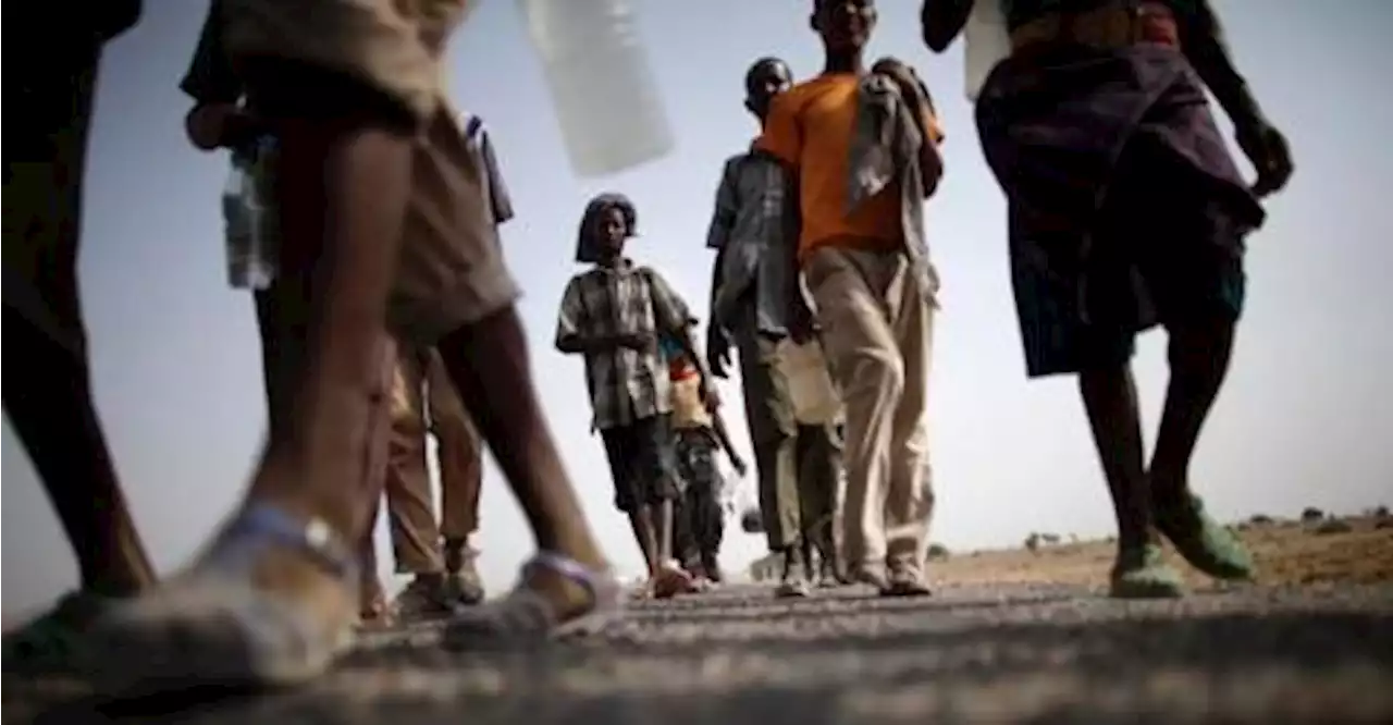 Saudi border guards kill hundreds of Ethiopian migrants, says HRW