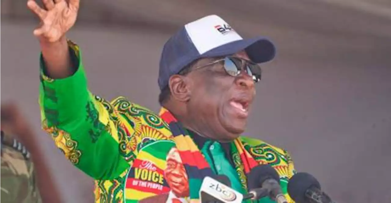 Zimbabwe’s 80-year-old ‘Crocodile’ president seeks new term