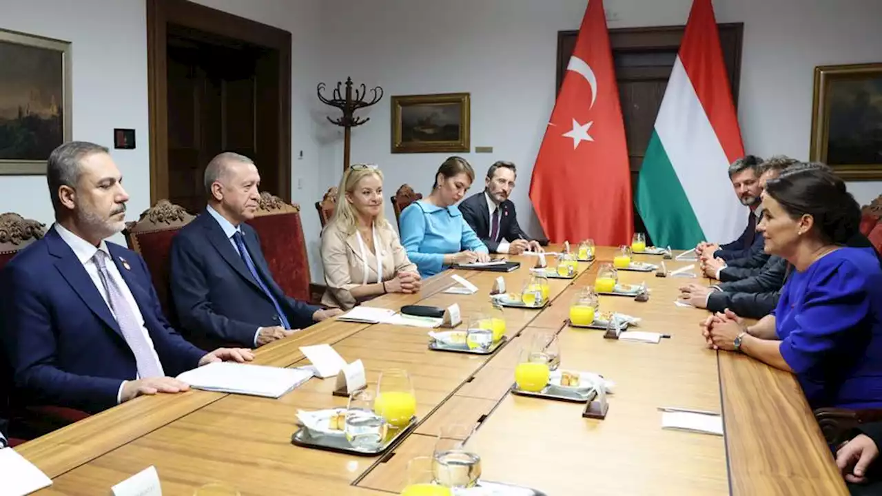 Hungary praises Türkiye for its role in promoting regional peace