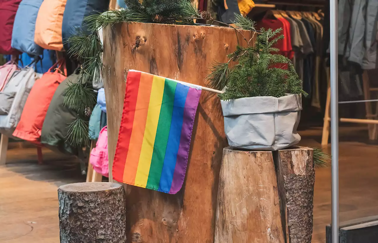 LGBTQ Ally Shot and Killed for Defending Pride Flag in Front of Her Store