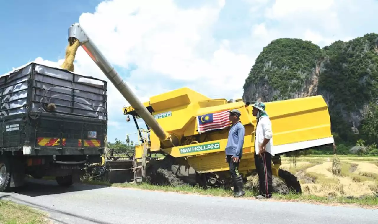 Sediakah Perlis, Kedah tanam padi lima kali?