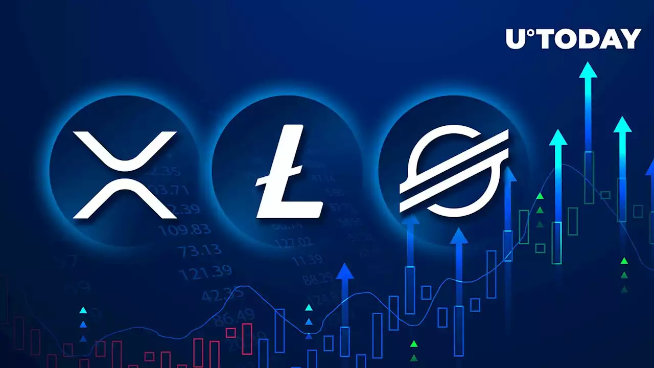 XRP, Litecoin (LTC), and Stellar (XLM) Lead the Way in Crypto Market Bounceback