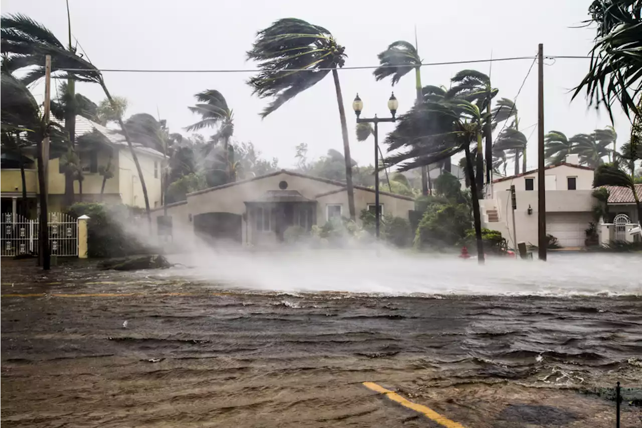 Californien ramt af både tropisk storm og jordskælv – er der en sammenhæng?