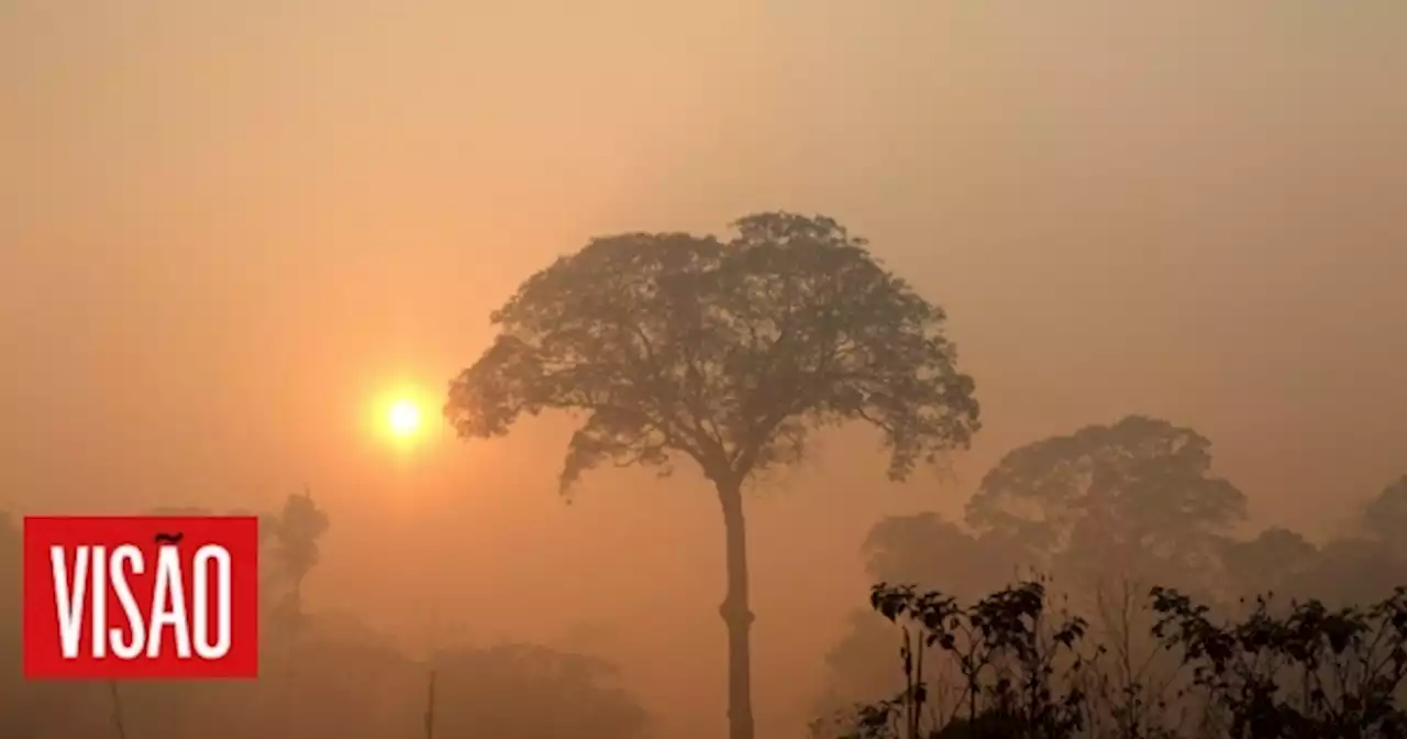 | Brasil deve seguir o Equador e proibir extração de petróleo na Amazónia